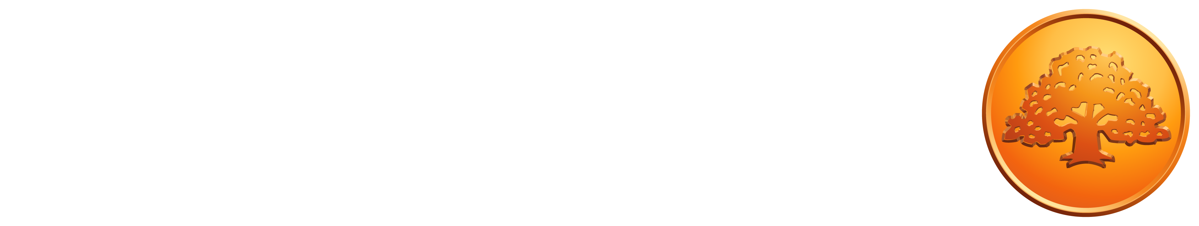 Swedbanks Ägarstiftelse Nya