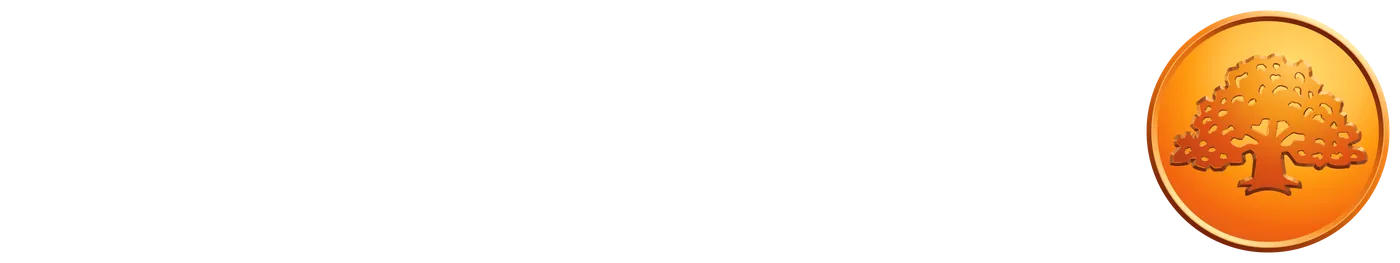 Swedbanks Ägarstiftelse Nya